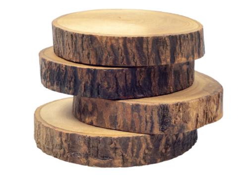 tree-coasters