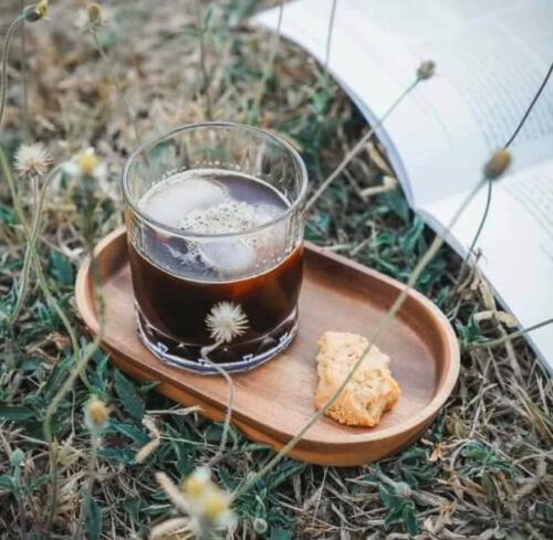 81514857 1433294670181484 2986867154109857792 n